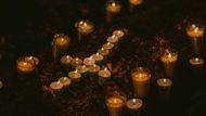 Representational image (Image via Pexels/ Isai Matus)